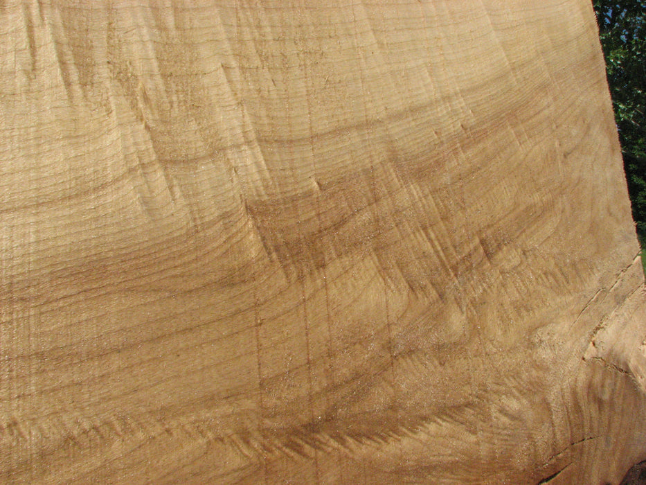 Cottonwood #7425(OC) - 2-1/2" x 40" to 50" x 109" FREE SHIPPING within the Contiguous US. freeshipping - Big Wood Slabs