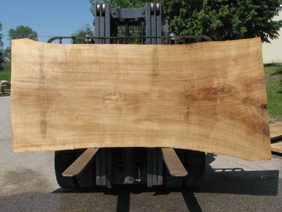 Cottonwood #7425(OC) - 2-1/2" x 40" to 50" x 109" FREE SHIPPING within the Contiguous US. freeshipping - Big Wood Slabs