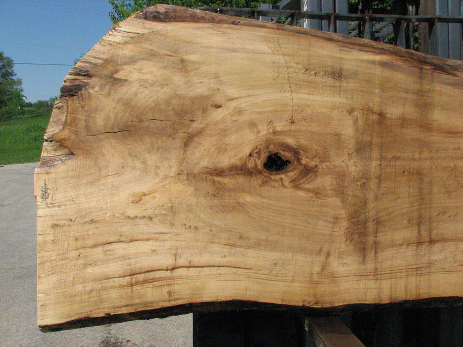 Cottonwood #7428(OC) - 2-1/2" x 31" to 42" x 122" FREE SHIPPING within the Contiguous US. freeshipping - Big Wood Slabs
