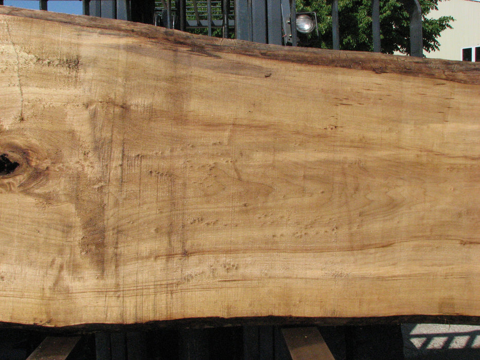 Cottonwood #7428(OC) - 2-1/2" x 31" to 42" x 122" FREE SHIPPING within the Contiguous US. freeshipping - Big Wood Slabs