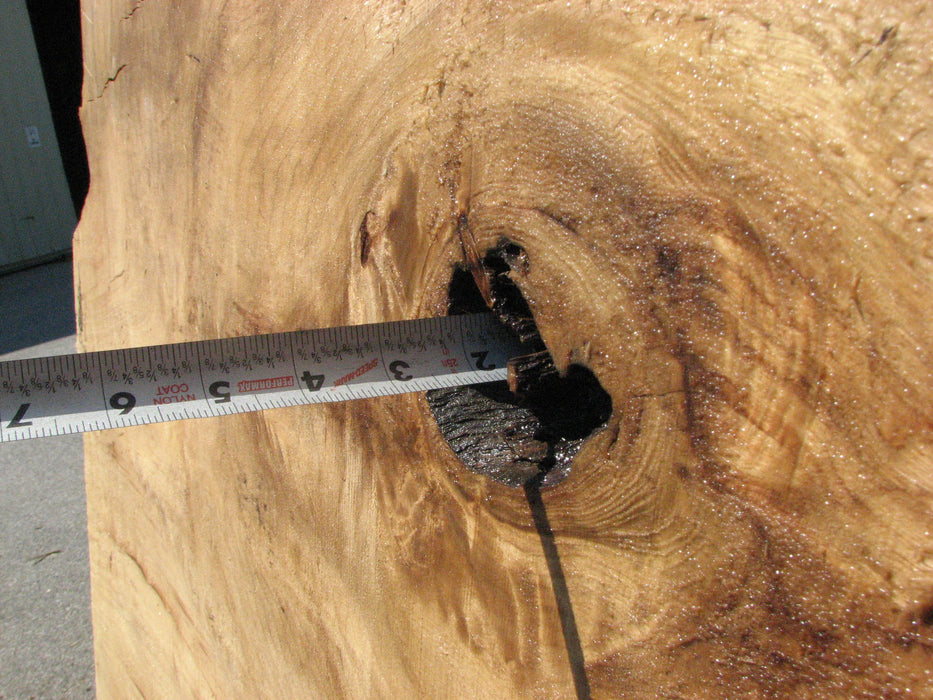 Cottonwood #7428(OC) - 2-1/2" x 31" to 42" x 122" FREE SHIPPING within the Contiguous US. freeshipping - Big Wood Slabs