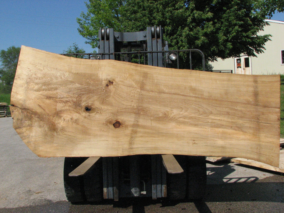 Cottonwood #7428(OC) - 2-1/2" x 31" to 42" x 122" FREE SHIPPING within the Contiguous US. freeshipping - Big Wood Slabs