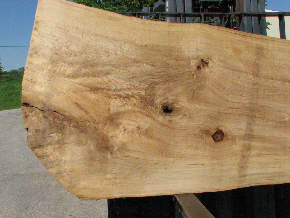 Cottonwood #7428(OC) - 2-1/2" x 31" to 42" x 122" FREE SHIPPING within the Contiguous US. freeshipping - Big Wood Slabs