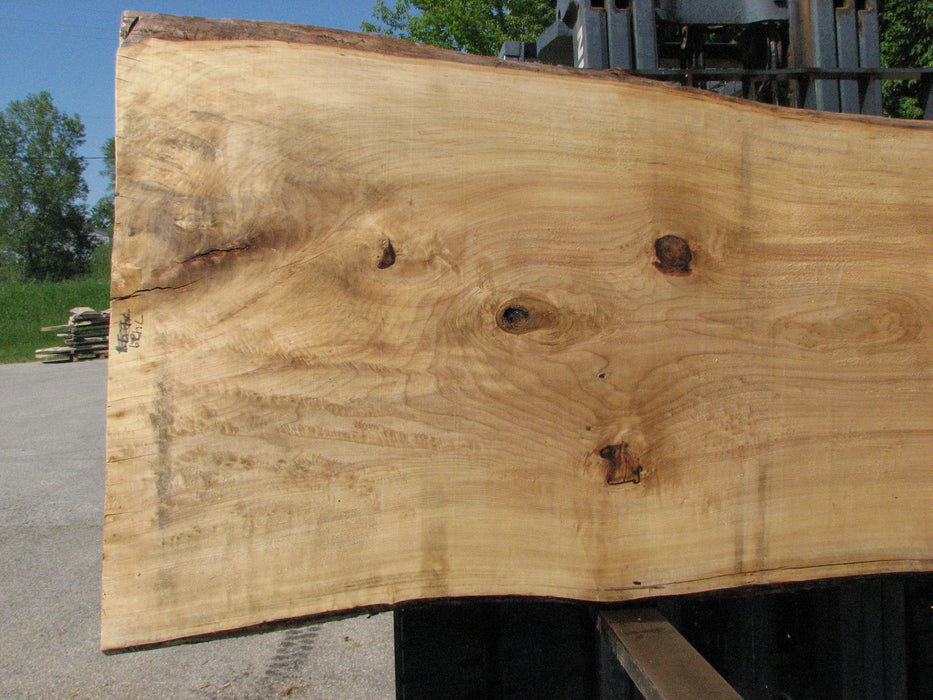 Cottonwood #7429(OC) - 2-1/2" x 38" to 51" x 123" FREE SHIPPING within the Contiguous US. freeshipping - Big Wood Slabs
