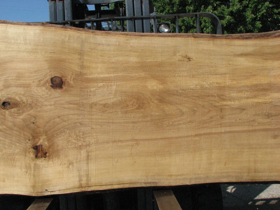 Cottonwood #7429(OC) - 2-1/2" x 38" to 51" x 123" FREE SHIPPING within the Contiguous US. freeshipping - Big Wood Slabs
