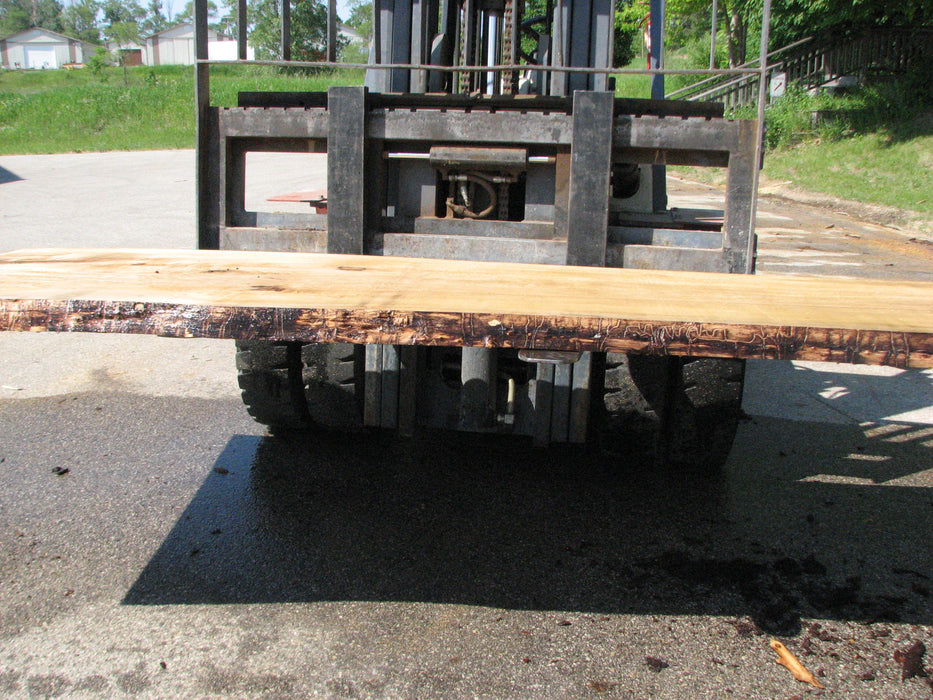 Cottonwood #7429(OC) - 2-1/2" x 38" to 51" x 123" FREE SHIPPING within the Contiguous US. freeshipping - Big Wood Slabs