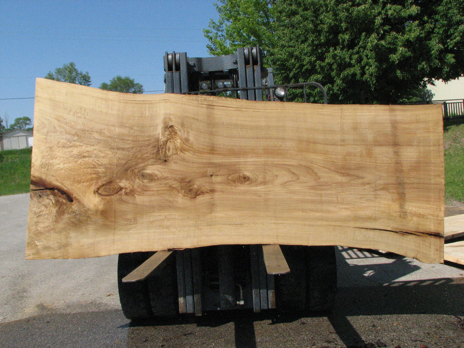 Cottonwood #7429(OC) - 2-1/2" x 38" to 51" x 123" FREE SHIPPING within the Contiguous US. freeshipping - Big Wood Slabs