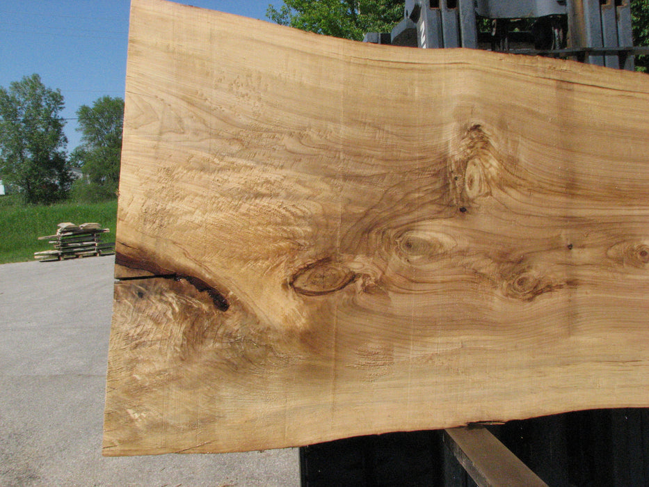 Cottonwood #7429(OC) - 2-1/2" x 38" to 51" x 123" FREE SHIPPING within the Contiguous US. freeshipping - Big Wood Slabs