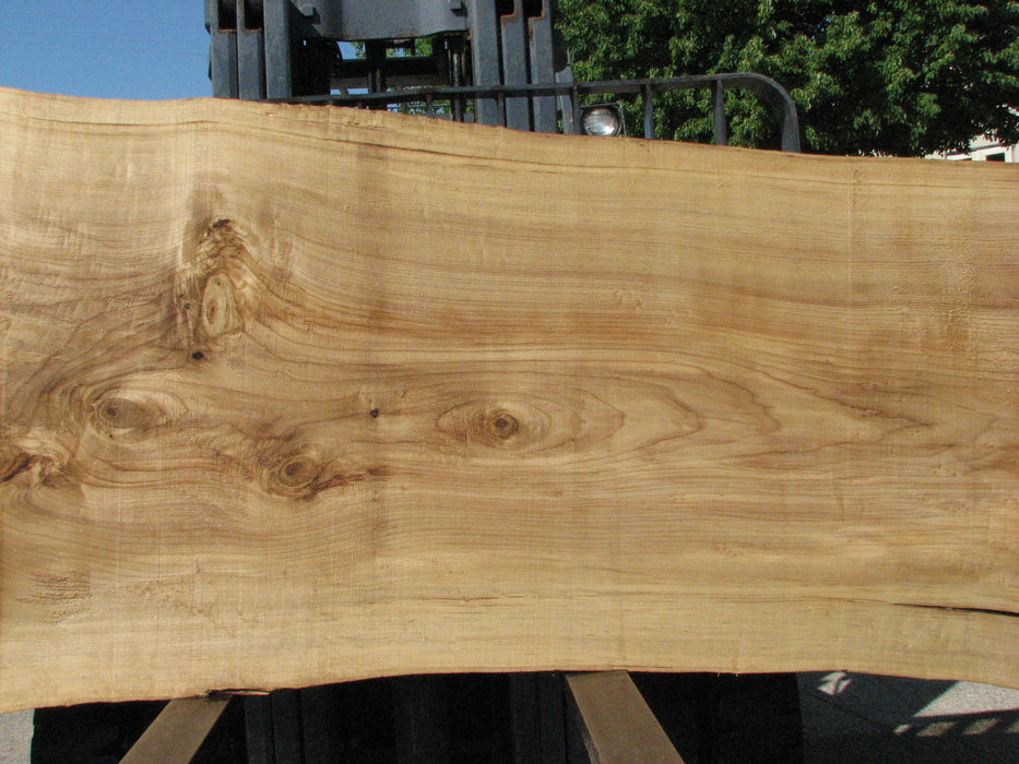 Cottonwood #7429(OC) - 2-1/2" x 38" to 51" x 123" FREE SHIPPING within the Contiguous US. freeshipping - Big Wood Slabs