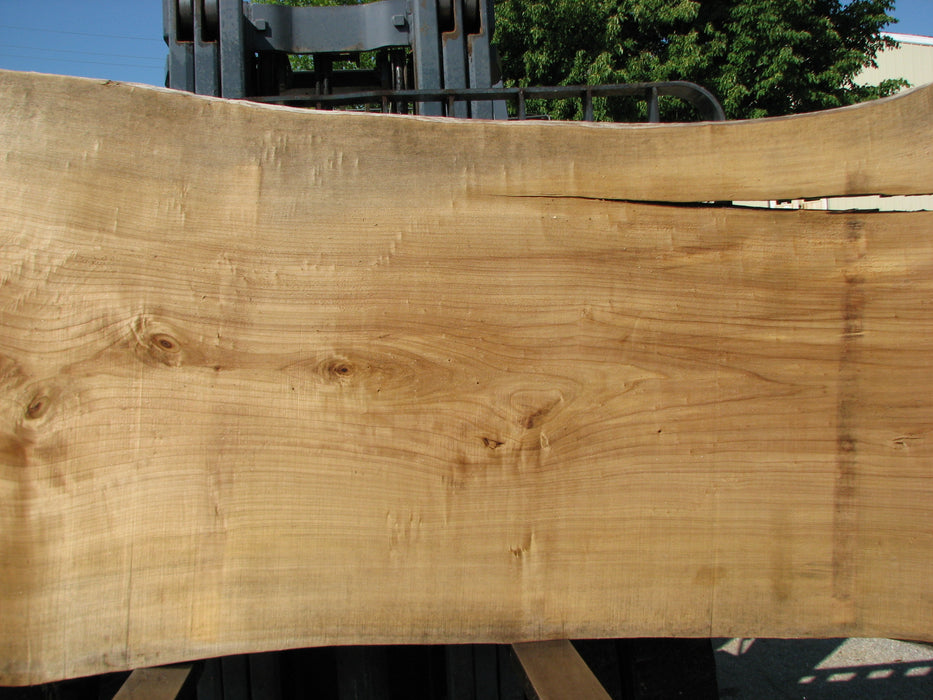 Cottonwood #7431(OC) - 2-1/2" x 45" to 57" x 116" FREE SHIPPING within the Contiguous US. freeshipping - Big Wood Slabs