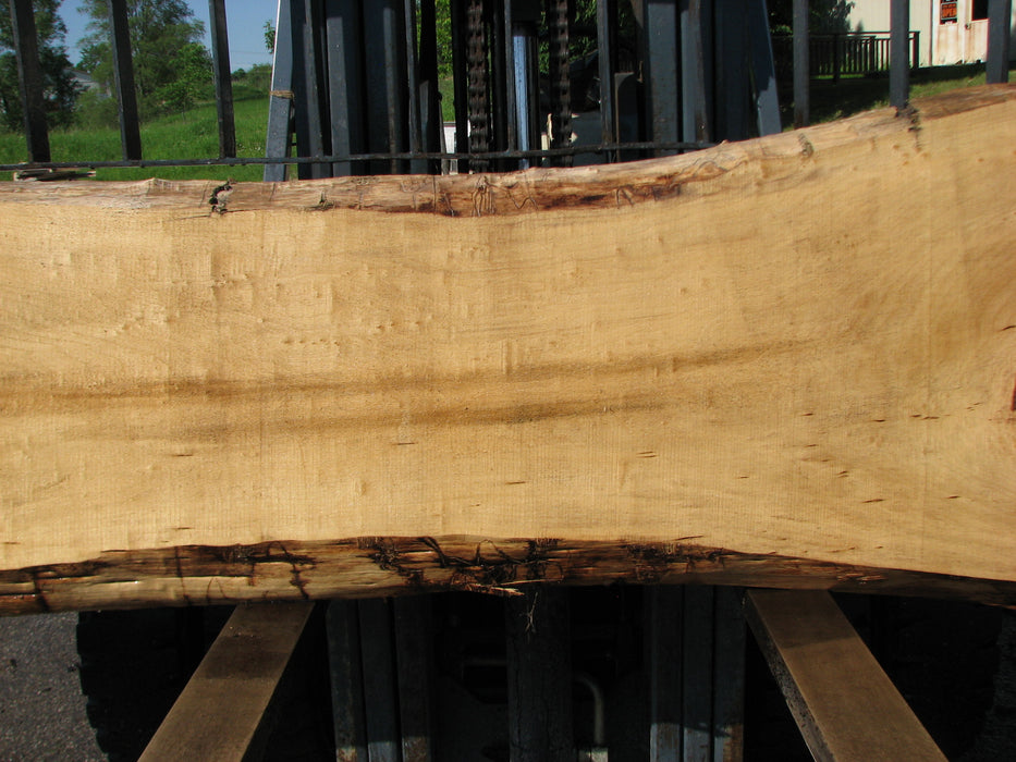 Cottonwood #7434(OC) - 2-1/4" x 18" to 29" x 122" FREE SHIPPING within the Contiguous US. freeshipping - Big Wood Slabs