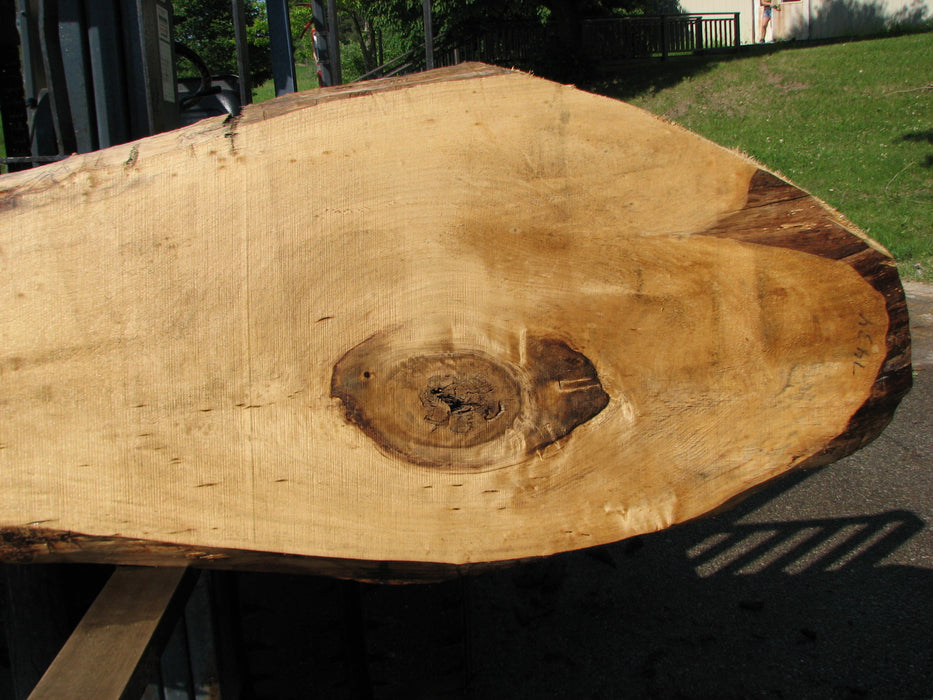 Cottonwood #7434(OC) - 2-1/4" x 18" to 29" x 122" FREE SHIPPING within the Contiguous US. freeshipping - Big Wood Slabs