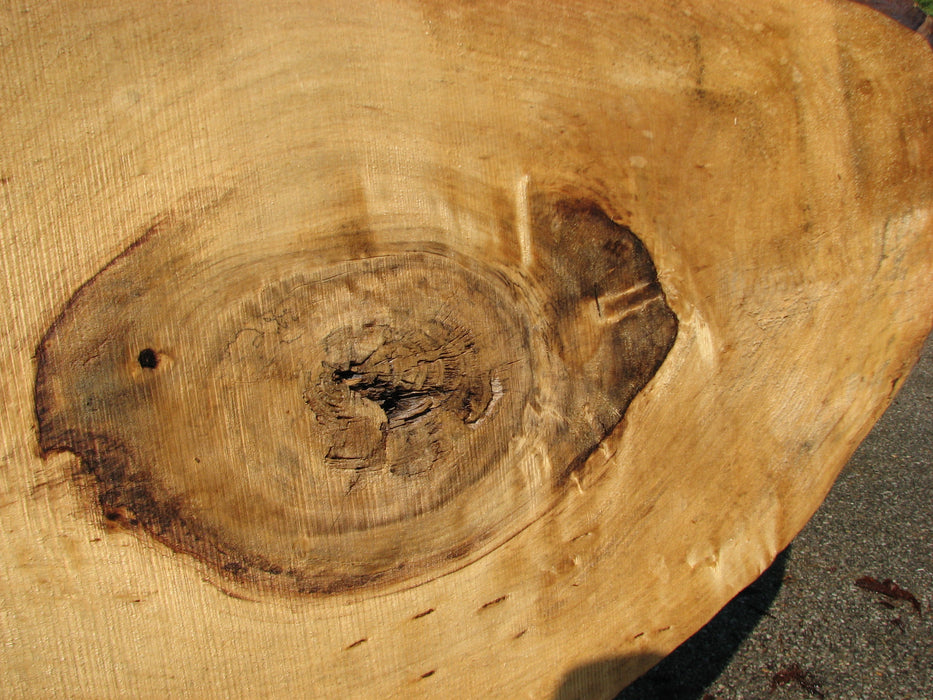 Cottonwood #7434(OC) - 2-1/4" x 18" to 29" x 122" FREE SHIPPING within the Contiguous US. freeshipping - Big Wood Slabs