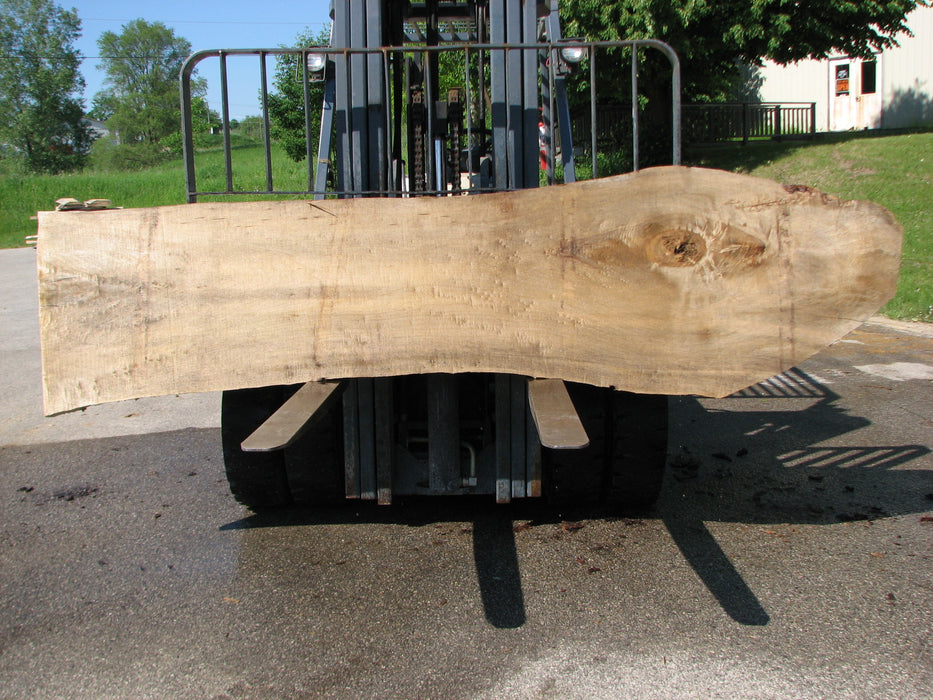 Cottonwood #7434(OC) - 2-1/4" x 18" to 29" x 122" FREE SHIPPING within the Contiguous US. freeshipping - Big Wood Slabs