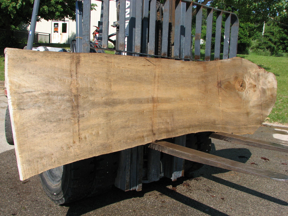 Cottonwood #7434(OC) - 2-1/4" x 18" to 29" x 122" FREE SHIPPING within the Contiguous US. freeshipping - Big Wood Slabs