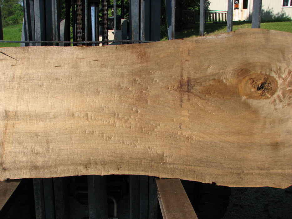 Cottonwood #7434(OC) - 2-1/4" x 18" to 29" x 122" FREE SHIPPING within the Contiguous US. freeshipping - Big Wood Slabs