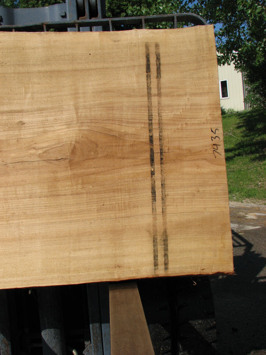 Cottonwood #7435(OC) - 2-1/2" x 43" to 50" x 73" FREE SHIPPING within the Contiguous US. freeshipping - Big Wood Slabs