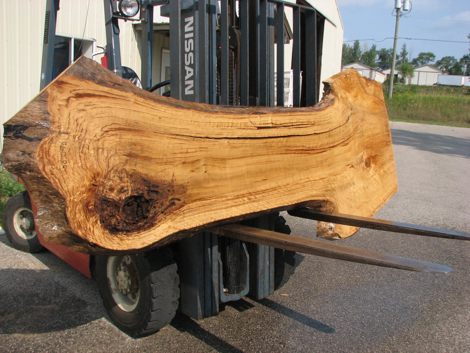 Cottonwood #7612(ROC) - 2-3/4" x 20" to 39" x 101" FREE SHIPPING within the Contiguous US. freeshipping - Big Wood Slabs