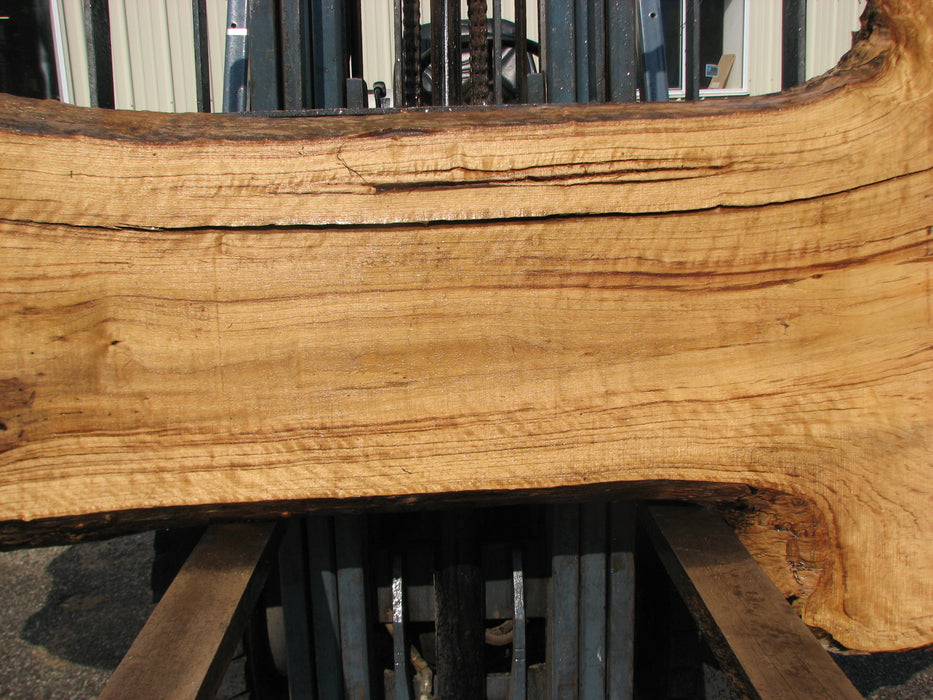 Cottonwood #7612(ROC) - 2-3/4" x 20" to 39" x 101" FREE SHIPPING within the Contiguous US. freeshipping - Big Wood Slabs