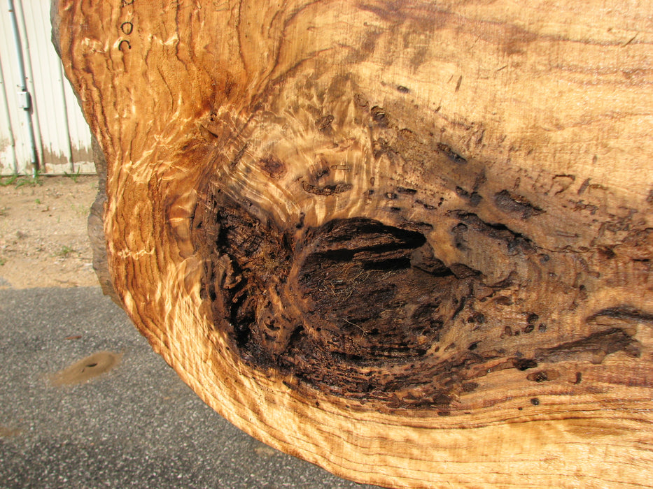 Cottonwood #7612(ROC) - 2-3/4" x 20" to 39" x 101" FREE SHIPPING within the Contiguous US. freeshipping - Big Wood Slabs