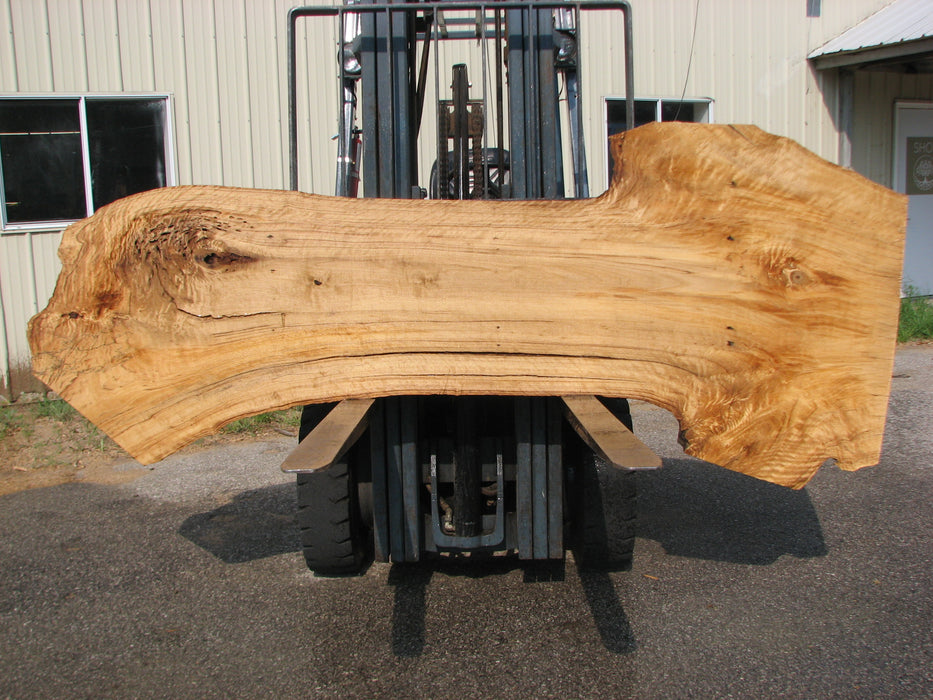 Cottonwood #7612(ROC) - 2-3/4" x 20" to 39" x 101" FREE SHIPPING within the Contiguous US. freeshipping - Big Wood Slabs