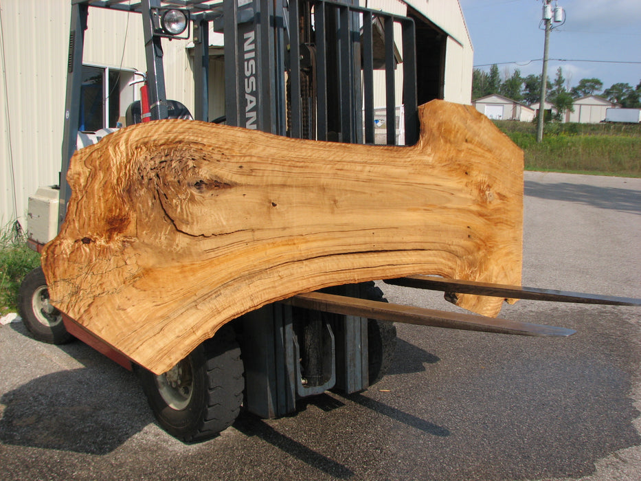 Cottonwood #7612(ROC) - 2-3/4" x 20" to 39" x 101" FREE SHIPPING within the Contiguous US. freeshipping - Big Wood Slabs