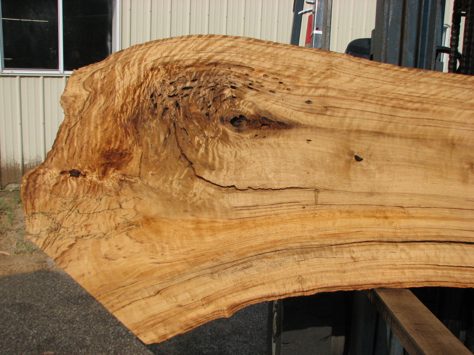 Cottonwood #7612(ROC) - 2-3/4" x 20" to 39" x 101" FREE SHIPPING within the Contiguous US. freeshipping - Big Wood Slabs
