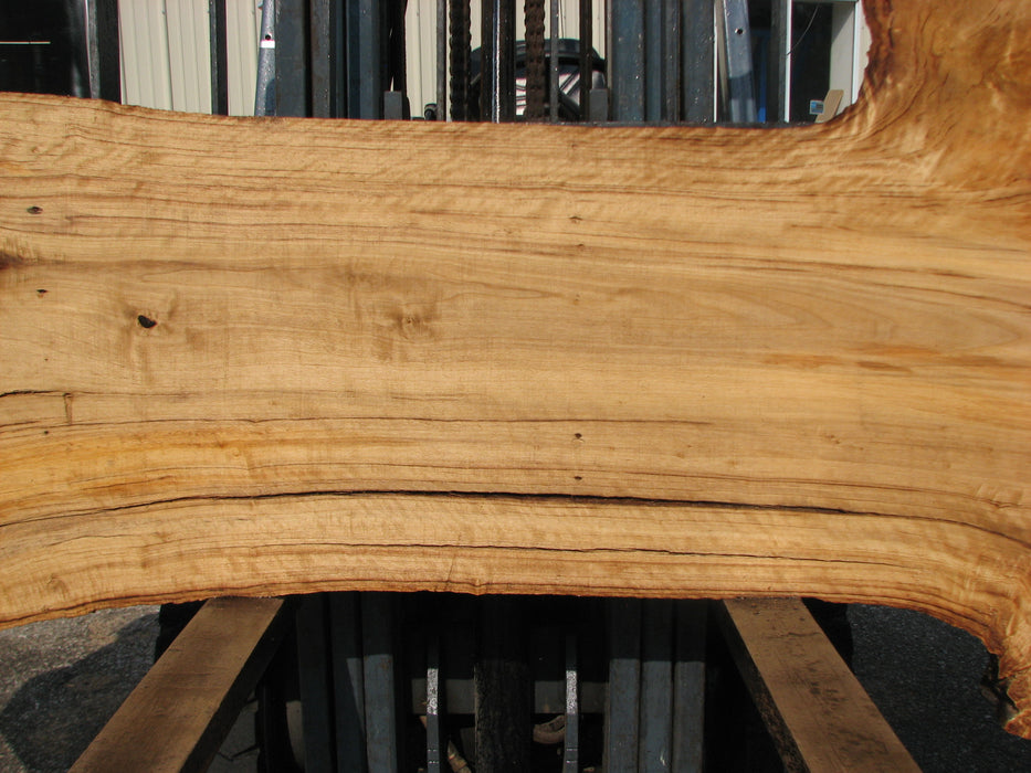 Cottonwood #7612(ROC) - 2-3/4" x 20" to 39" x 101" FREE SHIPPING within the Contiguous US. freeshipping - Big Wood Slabs