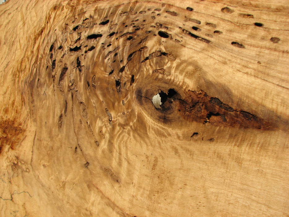 Cottonwood #7612(ROC) - 2-3/4" x 20" to 39" x 101" FREE SHIPPING within the Contiguous US. freeshipping - Big Wood Slabs