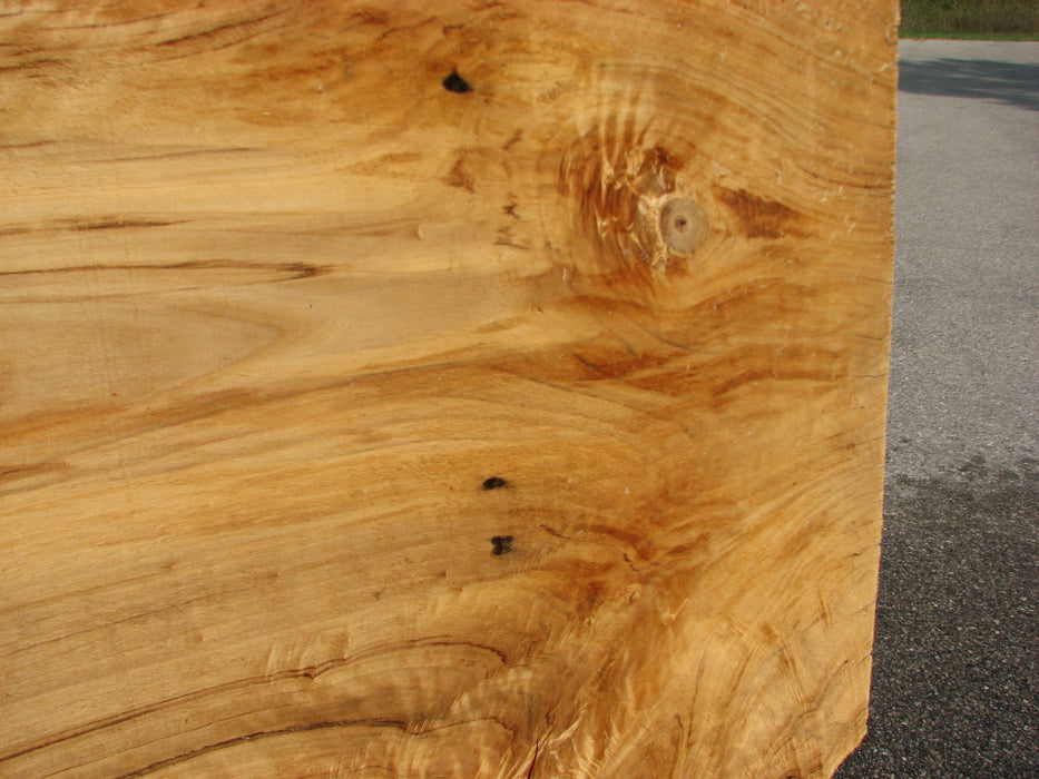 Cottonwood #7612(ROC) - 2-3/4" x 20" to 39" x 101" FREE SHIPPING within the Contiguous US. freeshipping - Big Wood Slabs