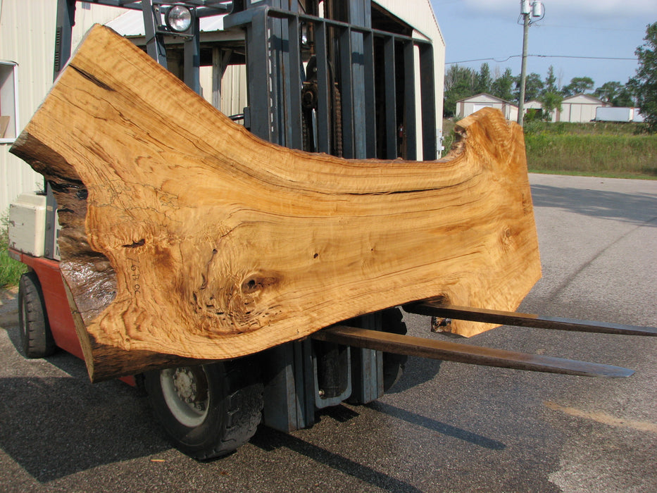 Cottonwood #7613(ROC) - 2-3/4" x 23" to 42" x 112" FREE SHIPPING within the Contiguous US. freeshipping - Big Wood Slabs