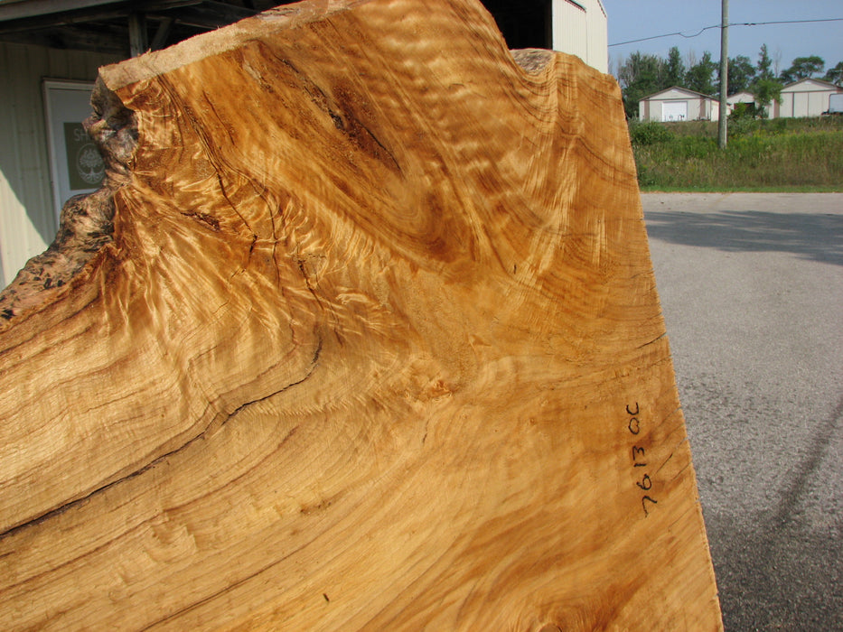 Cottonwood #7613(ROC) - 2-3/4" x 23" to 42" x 112" FREE SHIPPING within the Contiguous US. freeshipping - Big Wood Slabs