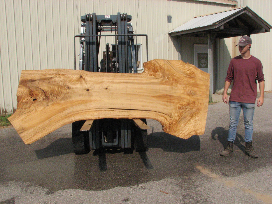 Cottonwood #7613(ROC) - 2-3/4" x 23" to 42" x 112" FREE SHIPPING within the Contiguous US. freeshipping - Big Wood Slabs