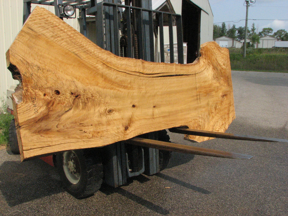 Cottonwood #7614(ROC) - 2-1/4" x 25" to 45" x 110" FREE SHIPPING within the Contiguous US. freeshipping - Big Wood Slabs