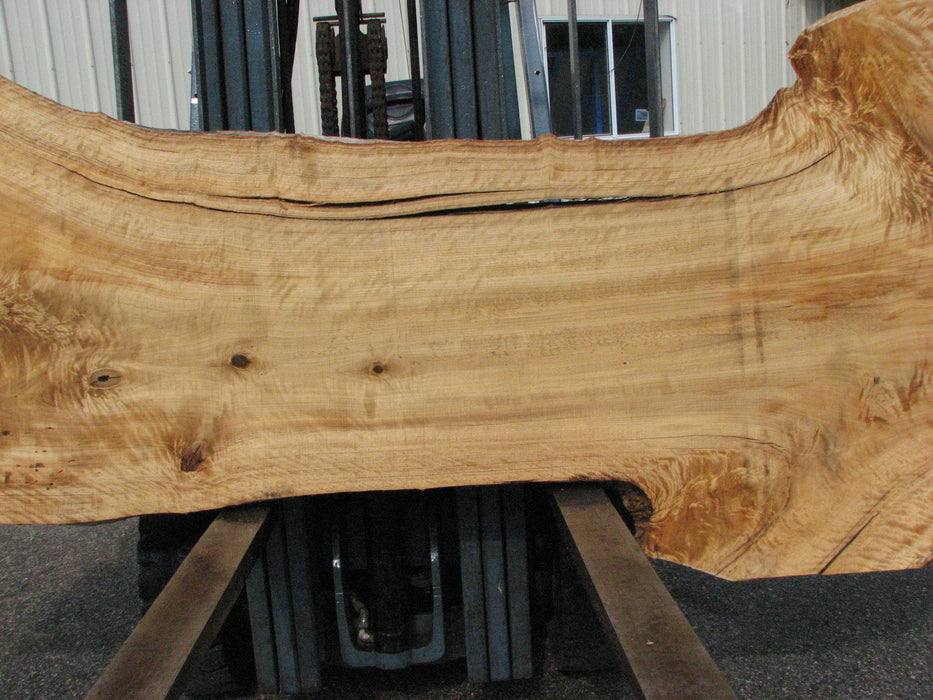 Cottonwood #7614(ROC) - 2-1/4" x 25" to 45" x 110" FREE SHIPPING within the Contiguous US. freeshipping - Big Wood Slabs