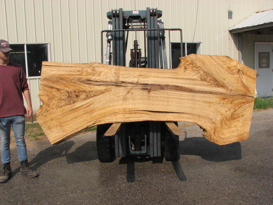Cottonwood #7614(ROC) - 2-1/4" x 25" to 45" x 110" FREE SHIPPING within the Contiguous US. freeshipping - Big Wood Slabs