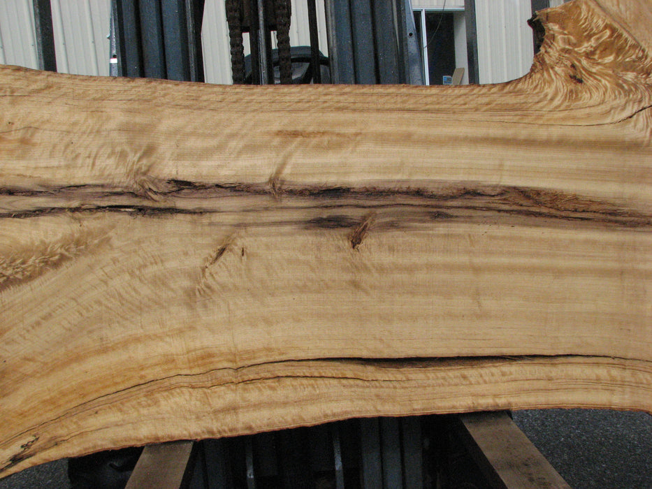 Cottonwood #7614(ROC) - 2-1/4" x 25" to 45" x 110" FREE SHIPPING within the Contiguous US. freeshipping - Big Wood Slabs