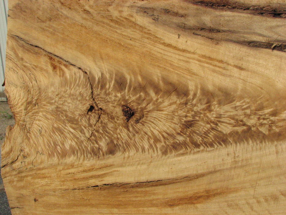 Cottonwood #7614(ROC) - 2-1/4" x 25" to 45" x 110" FREE SHIPPING within the Contiguous US. freeshipping - Big Wood Slabs