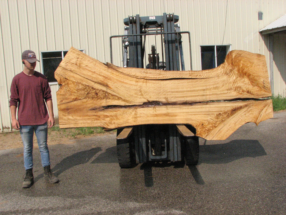 Cottonwood #7615(ROC) - 2-3/4" x 26" to 42" x 111" FREE SHIPPING within the Contiguous US. freeshipping - Big Wood Slabs