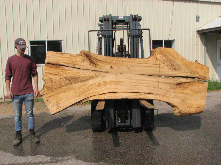 Cottonwood #7615(ROC) - 2-3/4" x 26" to 42" x 111" FREE SHIPPING within the Contiguous US. freeshipping - Big Wood Slabs