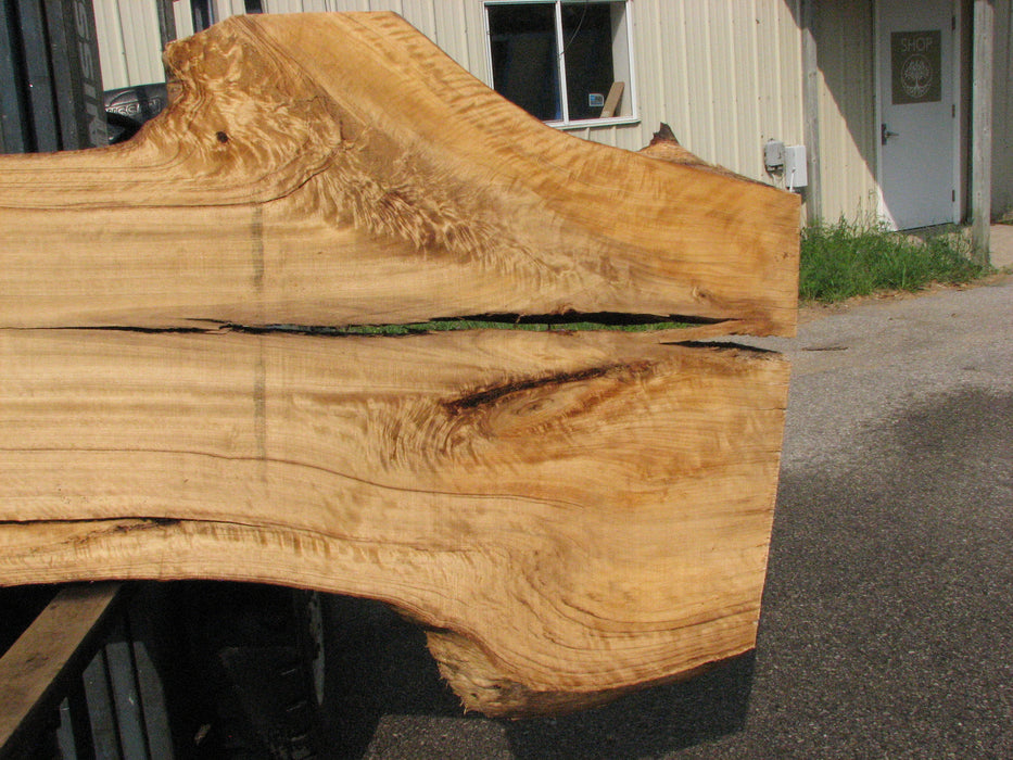 Cottonwood #7615(ROC) - 2-3/4" x 26" to 42" x 111" FREE SHIPPING within the Contiguous US. freeshipping - Big Wood Slabs