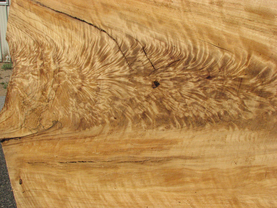 Cottonwood #7615(ROC) - 2-3/4" x 26" to 42" x 111" FREE SHIPPING within the Contiguous US. freeshipping - Big Wood Slabs