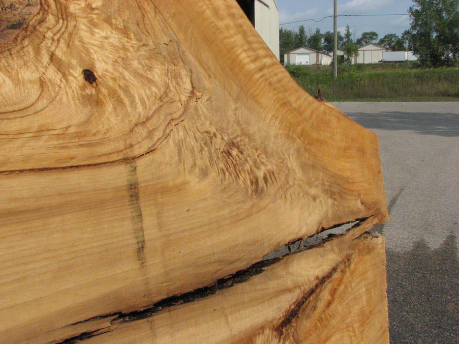 Cottonwood #7615(ROC) - 2-3/4" x 26" to 42" x 111" FREE SHIPPING within the Contiguous US. freeshipping - Big Wood Slabs