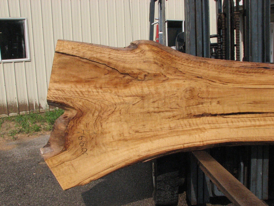 Cottonwood #7616(ROC) - 2-1/2" x 19" to 39" x 109" FREE SHIPPING within the Contiguous US. freeshipping - Big Wood Slabs