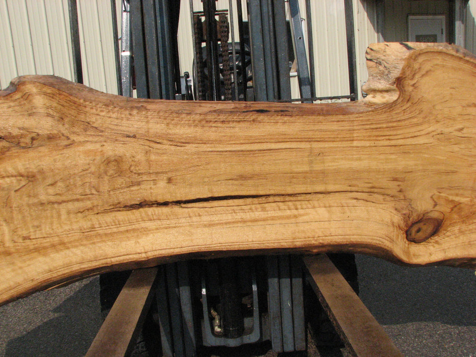 Cottonwood #7616(ROC) - 2-1/2" x 19" to 39" x 109" FREE SHIPPING within the Contiguous US. freeshipping - Big Wood Slabs