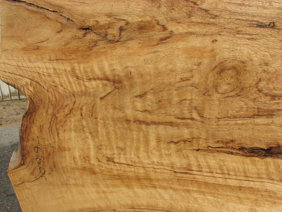 Cottonwood #7616(ROC) - 2-1/2" x 19" to 39" x 109" FREE SHIPPING within the Contiguous US. freeshipping - Big Wood Slabs