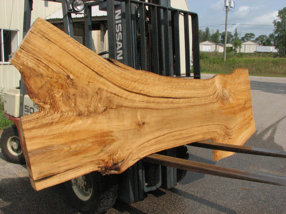 Cottonwood #7616(ROC) - 2-1/2" x 19" to 39" x 109" FREE SHIPPING within the Contiguous US. freeshipping - Big Wood Slabs