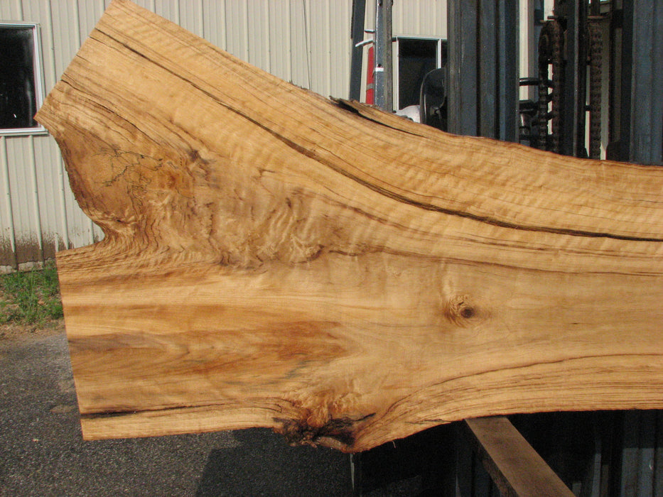 Cottonwood #7616(ROC) - 2-1/2" x 19" to 39" x 109" FREE SHIPPING within the Contiguous US. freeshipping - Big Wood Slabs