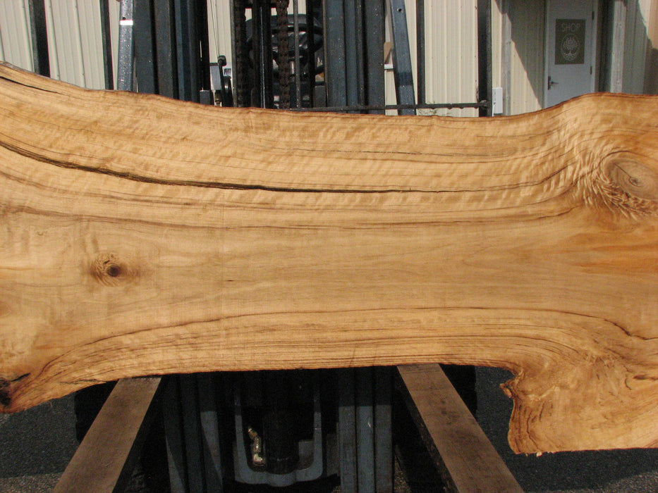 Cottonwood #7616(ROC) - 2-1/2" x 19" to 39" x 109" FREE SHIPPING within the Contiguous US. freeshipping - Big Wood Slabs