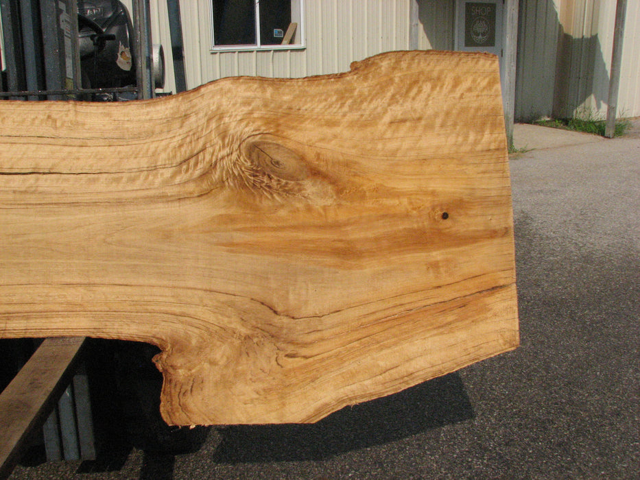 Cottonwood #7616(ROC) - 2-1/2" x 19" to 39" x 109" FREE SHIPPING within the Contiguous US. freeshipping - Big Wood Slabs